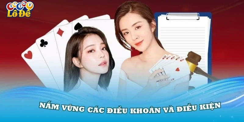 1. Tổng quan về điều khoản điều kiện tại Lodevip