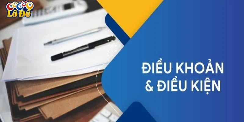 Các nội dung chính trong điều khoản điều kiện của Lodevip