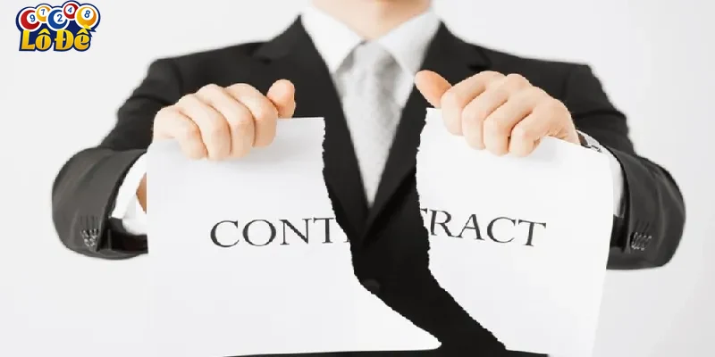 Ví dụ thực tế về việc áp dụng miễn trừ trách nhiệm tại Lodevip