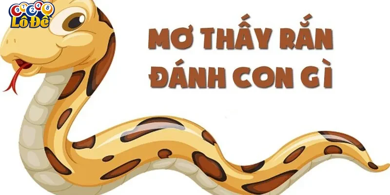 Tổng hợp kinh nghiệm cá cược từ Lodevip liên quan đến giấc mơ